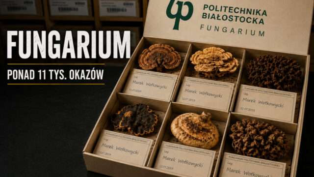 Zbiór grzybów z podpisem fungarium ponad 11 tys. okazów