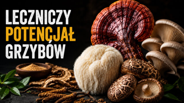 Grzyby z podpisem: Leczniczy potencjał grzybów