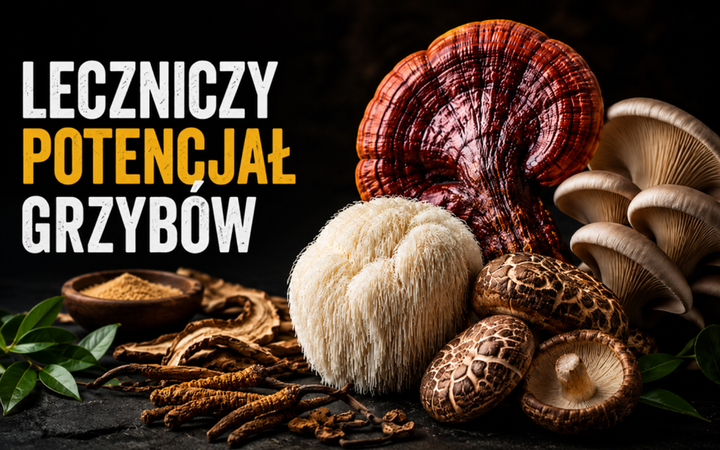 Grzyby z podpisem: Leczniczy potencjał grzybów